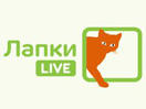 Логотип канала Lapki Live